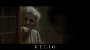 Film Festival Movie GIF by Signature Entertainment