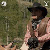 Paramountnetwork Lloyd GIF by Yellowstone