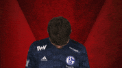 Schalke Vbl GIF by Bundesliga