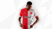 Football Sport GIF by SK Slavia Praha