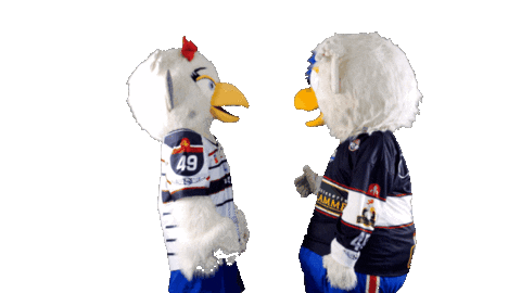 Hockey Ice Sticker by Les Ducs d'Angers