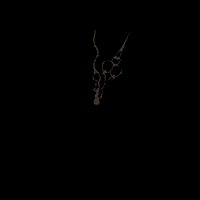 loschka clockwise loschka GIF