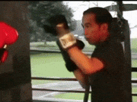 Boxing GIF