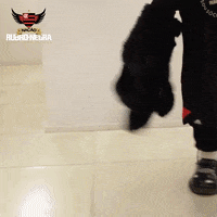 st nrn GIF by Flamengo