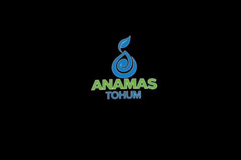 Anamastohum giphygifmaker GIF