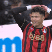 No Way Football GIF by AFC Bournemouth