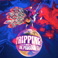 Dr Peacock Hardcore GIF by DVTD MGMT