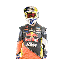 Dakar Sticker by Red Bull