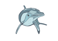 Winter Dolphin Sticker by Clearwater Marine Aquarium