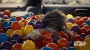 Jessica Chastain Horror GIF by Universal Pictures