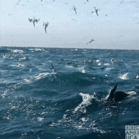 Descend David Tennant GIF by BBC America