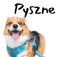 Corgi Polish Sticker