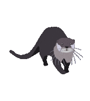 Otter Otterly Adorable Sticker by Cincinnati Zoo