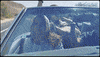 Sassy Girl GIF by Rude Records
