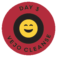 Cleansing Mission Accomplished Sticker by Vejo