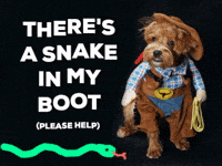 Toy Story Dog GIF by Nebraska Humane Society