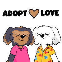 Valentines Day Love Sticker by BoDoggos