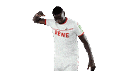serhou guirassy soccer Sticker by 1. FC Köln