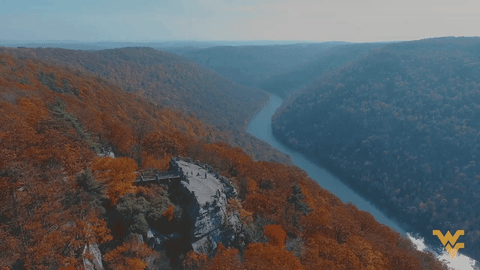 GIF by WestVirginiaU