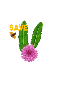ANPWWF savethebees diamundialdoambiente salve as abelhas salveasabelhas Sticker