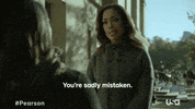 PearsonUSA television usa network pearson GIF