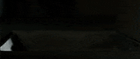 bizarre GIF