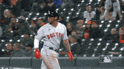 Major League Baseball Sport GIF by MLB