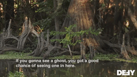 If You Gonna See A Ghost