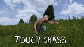 Dayz GIF
