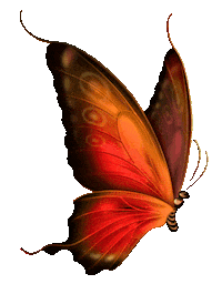 Orange Butterfly Sticker