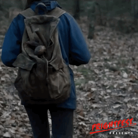 the woods wtf GIF by Signaturee Entertainment