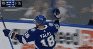 Ice Hockey Sport GIF by NHL
