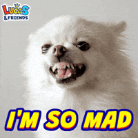 Angry Mad As Hell GIF by Lucas and Friends by RV AppStudios