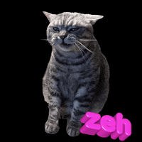 Zeh GIF