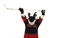 brocku hockey brocku brockuniversity brock badgers Sticker
