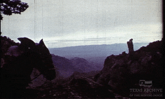 Big Bend Cowboy GIF by Texas Archive of the Moving Image