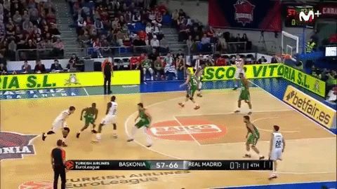 GIF by nss sports
