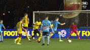 Sydney Fc Football GIF by Hyundai A-League