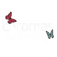 Butterfly Istanbul Sticker by Chromas