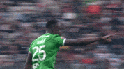 Ligue 1 Joie GIF by AS Saint-Étienne