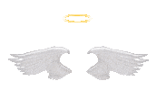 Angel Wings Sticker