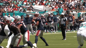 Nfl Touchdown GIF by New England Patriots