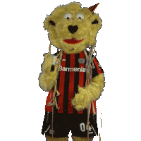 Happy Birthday Party Sticker by Bayer 04 Leverkusen