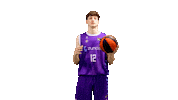 Liga Endesa Basketball Sticker by ACB