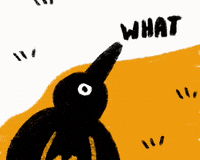 Bird What GIF by Abitan