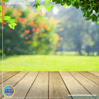 GIF by Viral Amplifier