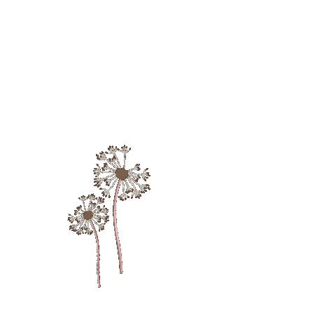 Dandelion Sticker by Kyte BABY