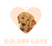 Golden Retriever Love Sticker by Kabene Jeans