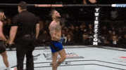 ufc 207 GIF