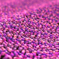 Pink Wave GIF by xponentialdesign